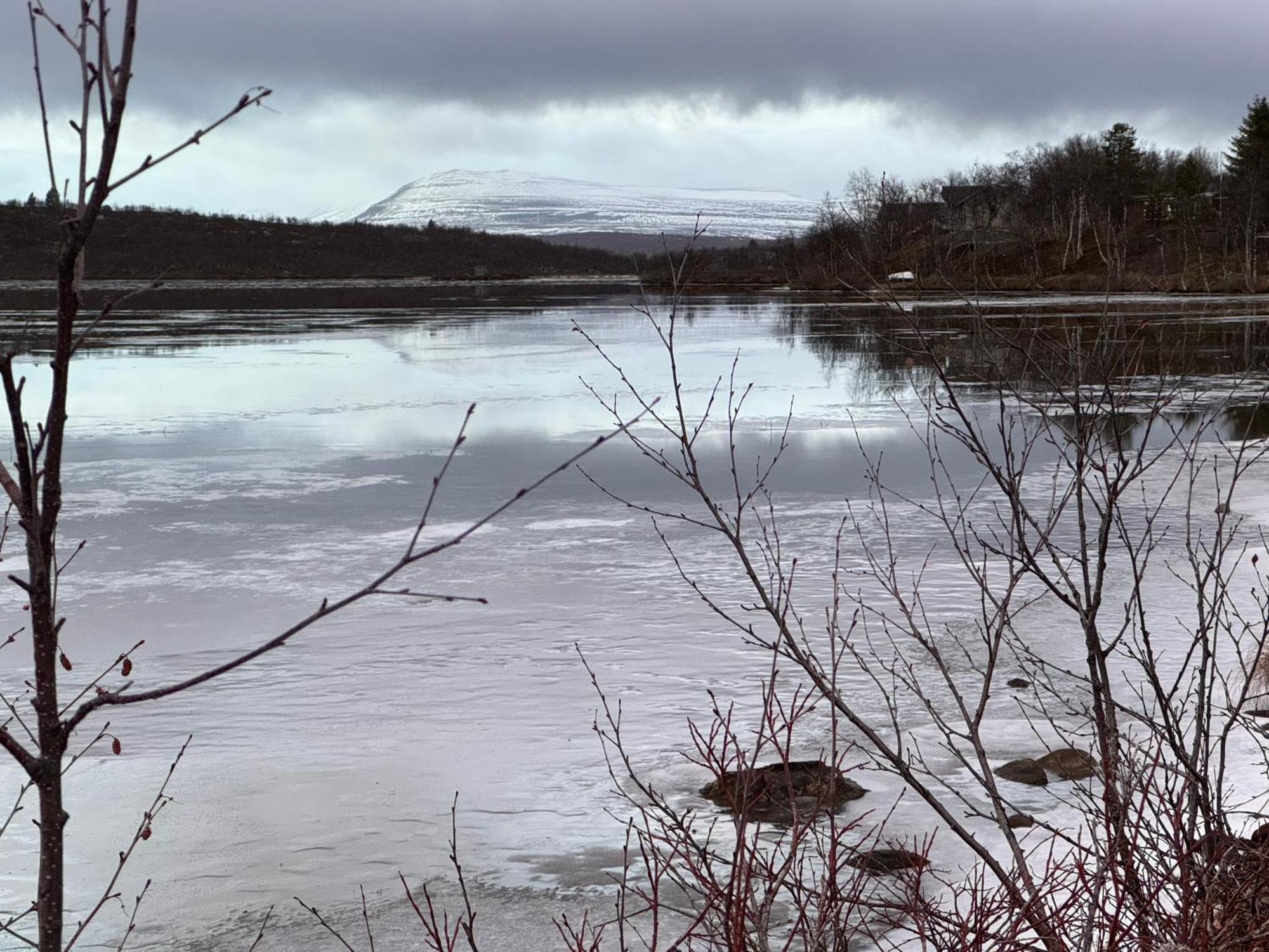 Cottage Lavkavann Finnmarksvidda Skoganvarre Eksteriør billede