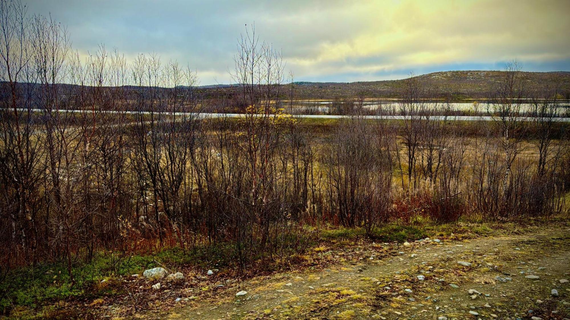 Cottage Lavkavann Finnmarksvidda Skoganvarre Eksteriør billede
