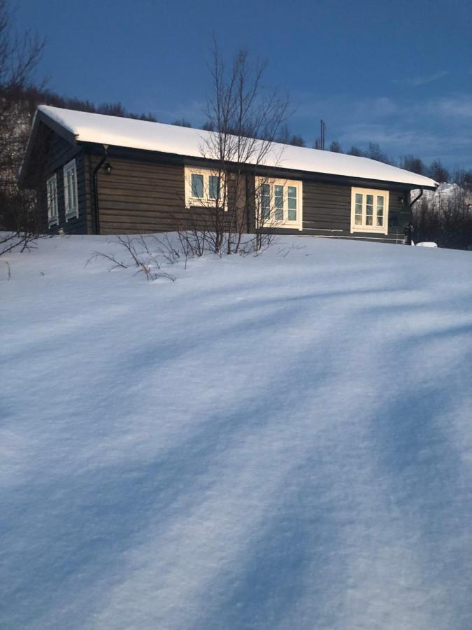 Cottage Lavkavann Finnmarksvidda Skoganvarre Eksteriør billede